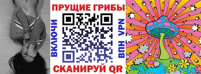 Купить  Биробиджан  Псилоцибиновые грибы мицелий 