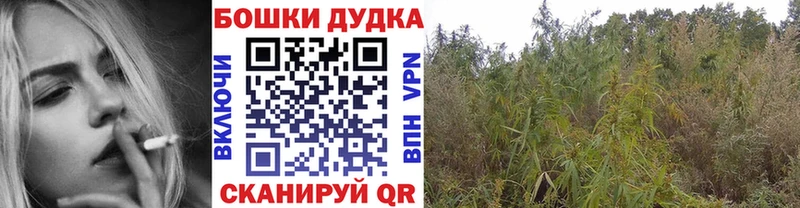 Канабис марихуана  Купить где  Биробиджан 